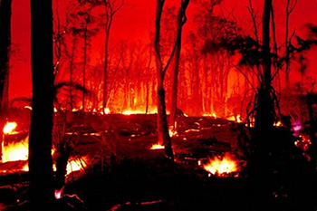 Seben'de orman yangını başladı